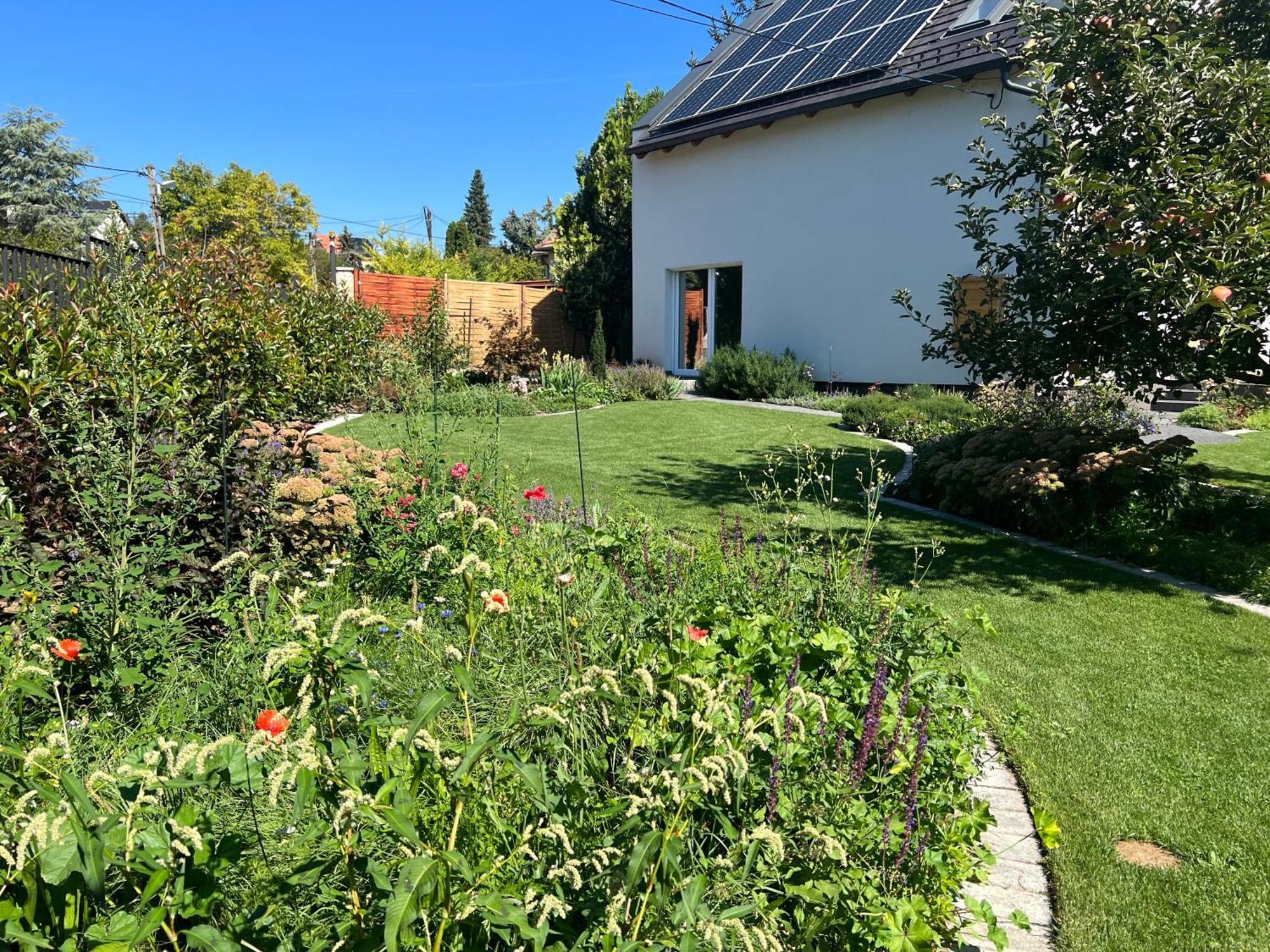 Neon Apartman Csopak Balaton מראה חיצוני תמונה
